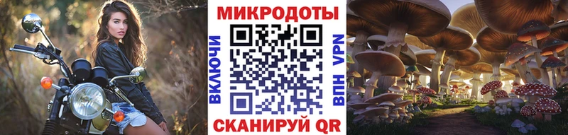 Галлюциногенные грибы Magic Shrooms  купить наркотик  Заречный 