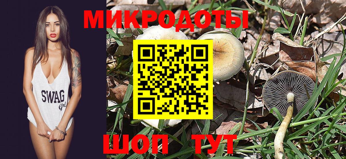 Галлюциногенные грибы Magic Shrooms Заречный