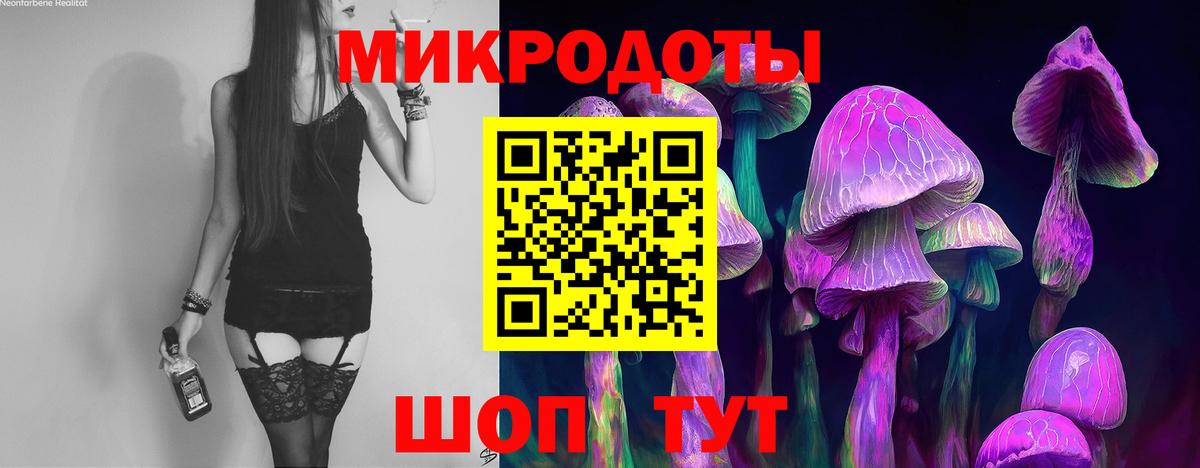 Псилоцибиновые грибы Psilocybe  Вход с VPN  Заречный 